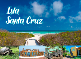 Galápagos Santa Cruz