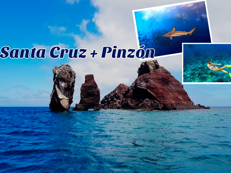 Tour Isla Pinzón Galápagos